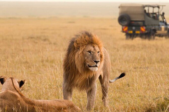 3 Days Private Tour in Maasai Mara With 4*4 Vehicle - Who Should Consider This Tour?