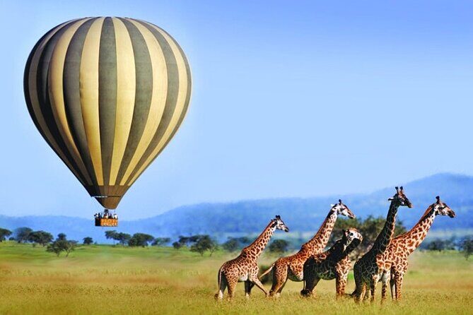 3 Days Private Tour in Maasai Mara With 4*4 Vehicle - FAQ