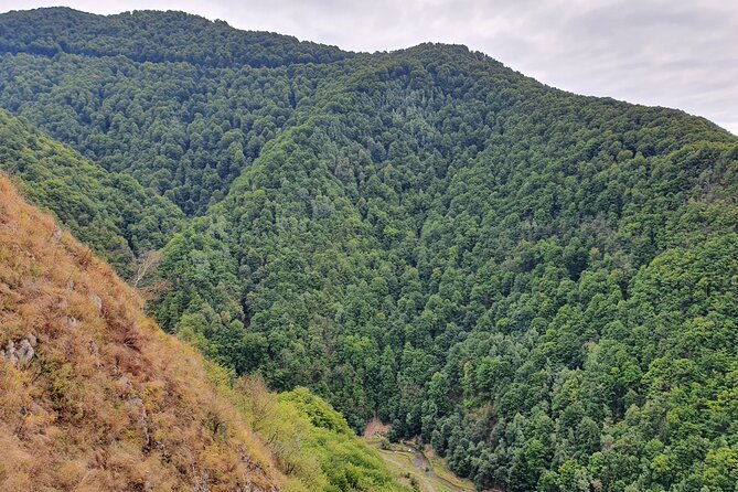 3-days-private-tour-romania-with-transfagarasan-road-from-bucharest