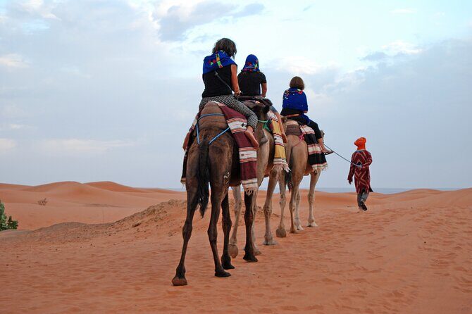 3 Days Private Tour to Merzouga Desert from Marrakech - Oasis and Mountain Charm: Skoura and the Roses