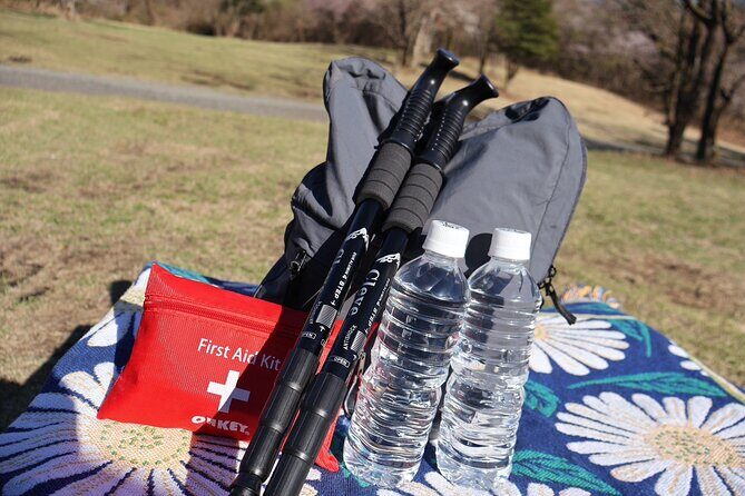 3 days Private Tour to Mt. Fuji with Local English Speaking Guide - Final Thoughts