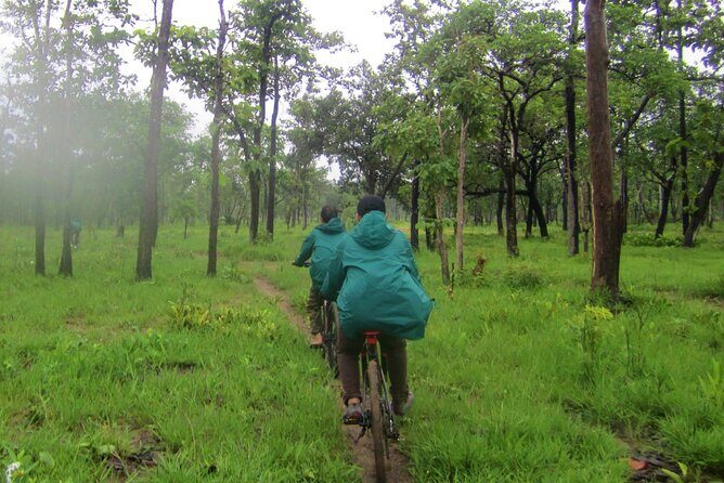 3 Days Private Xe Champhone Elds Deer Sanctuary Tour. - Practical Tips for Travelers