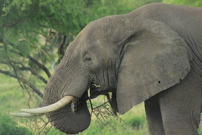 3 Days Queen Elizabeth national Park Safari Holiday - Who Will Love This Tour?
