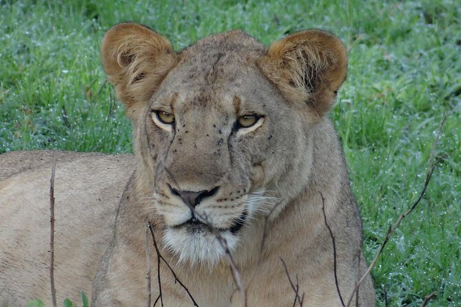 3 Days Queen Elizabeth national Park Safari Holiday - Final Thoughts