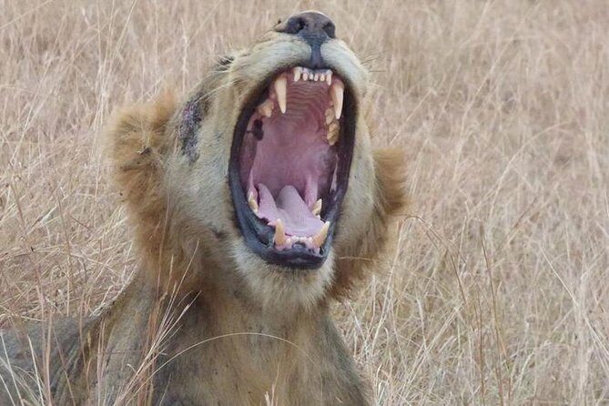 3 days Queen Elizabeth National Park Uganda Safari - Key Points