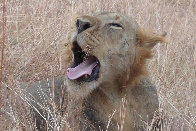 3 days Queen Elizabeth National Park Uganda Safari - Summing It Up: Who Will Love This Trip?