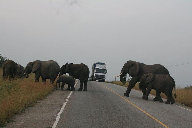 3 days Queen Elizabeth National Park Uganda Safari - Closing Thoughts