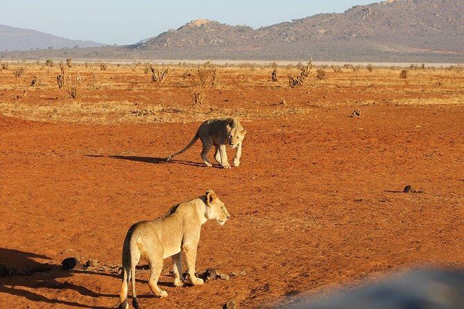 3 days Red elephant safari - Key Points