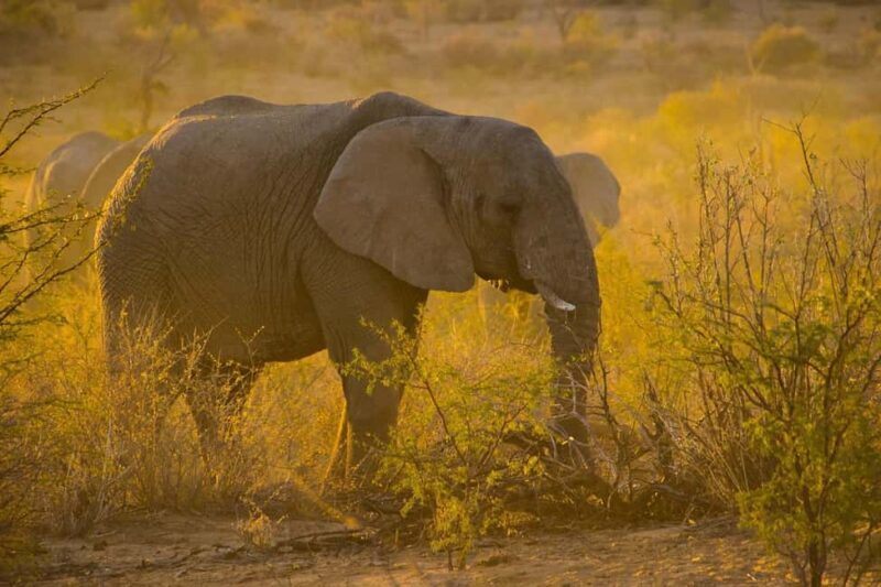 3-Days safari adventure to Mikumi N. Park from Dar-es-Salaam - Detailed Day-by-Day Breakdown