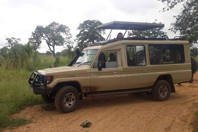 3 Days Safari - Mikumi National Park - The Sum Up