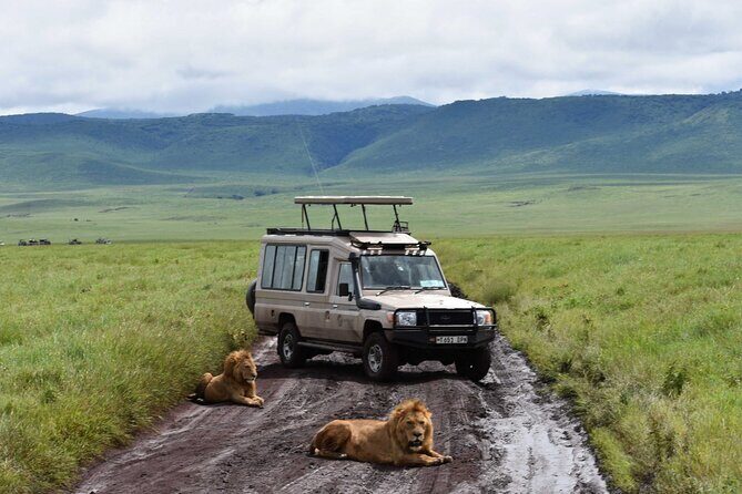 3 Days Safari Ngorongoro Crater and Serengeti National Park - Who Is This Tour Best For?