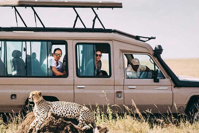 3 Days Safari Ngorongoro Crater and Serengeti National Park - FAQs