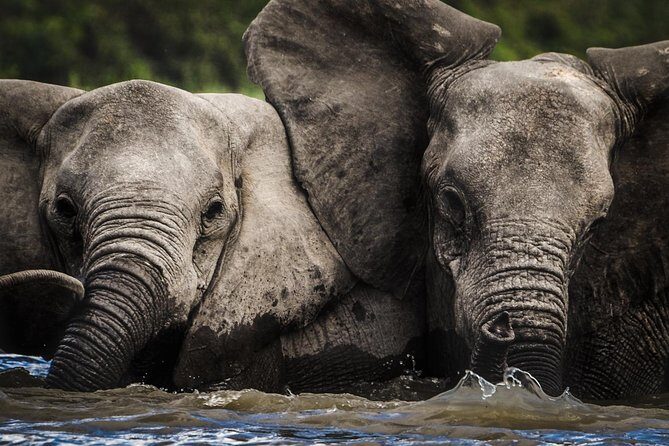3 Days Safari - Selous Game Reserve - What Travelers Say About This Safari
