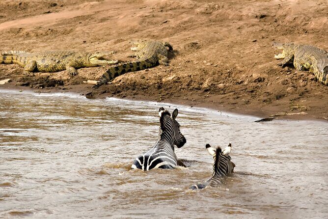 3 Days Safari Serengeti & Ngorongoro Crater - Final Thoughts