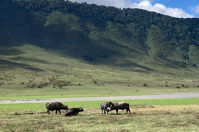 3 Days Safari Serengeti NP and Ngorongoro Crater - Authentic Highlights and Unique Extras