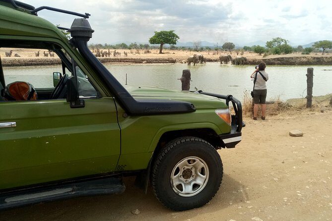 3 Days Safari to Mikumi NP - Accommodation Inside the Park - Who Is This Tour Best For?  