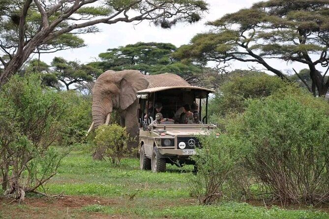 3 Days safari to Tarangire, Ngorongoro and Manyara national park - Final Thoughts