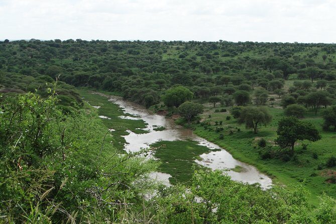 3 Days Safari to Tarangire NP, Ngorongoro Crater and Lake Manyara NP - Who Will Love This Safari?