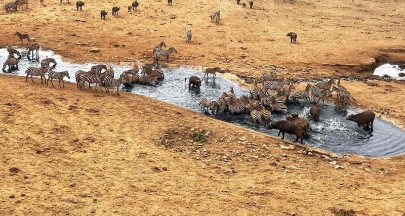 3 DAYS SAFARI TO TSAVO EAST AND WEST NATIONAL PARK - 3 DAYS SAFARI TO TSAVO EAST AND WEST NATIONAL PARK