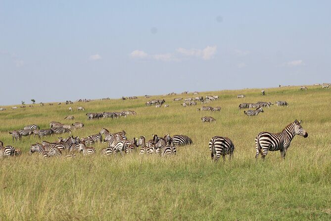 3 Days Safari Tour in Lake Manyara and Ngorngoro - Key Points