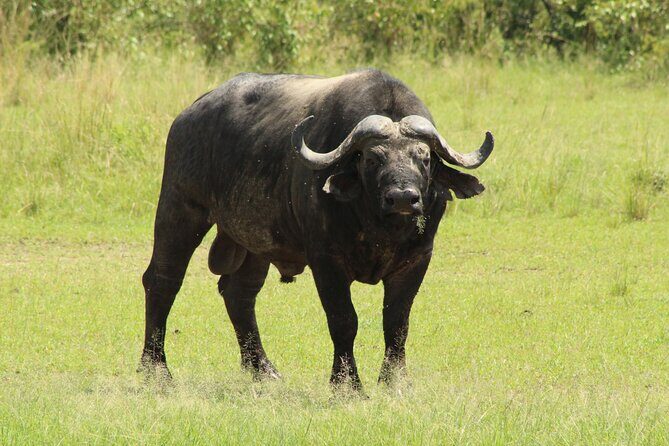 3 Days Safari Tour in Lake Manyara and Ngorngoro - Transportation and Group Size