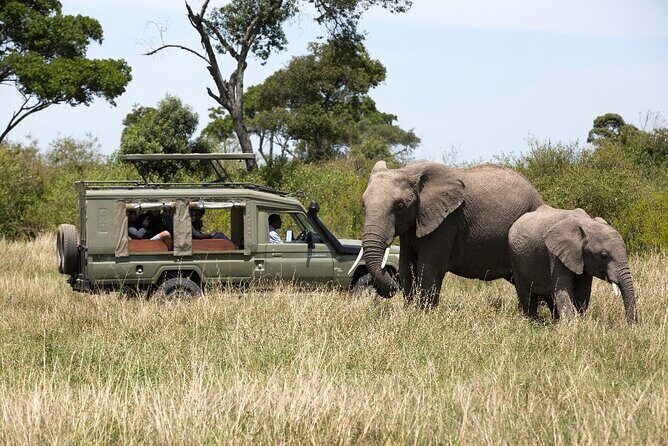 3 Days Safari Tour to Serengeti National Park - 3 Days Safari Tour to Serengeti National Park