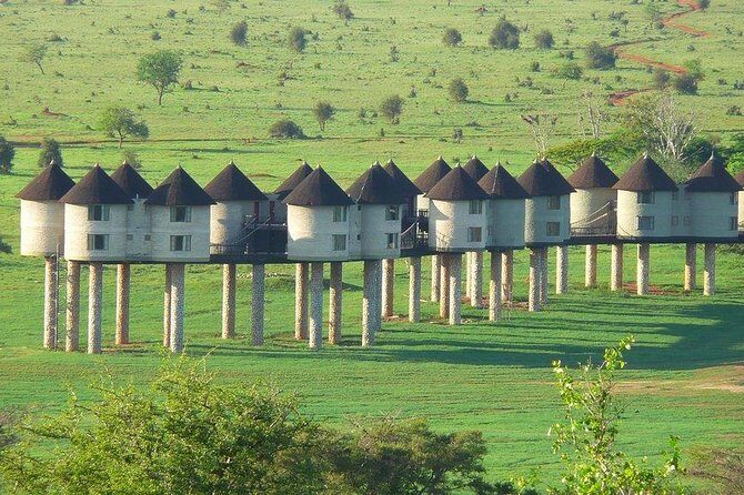 3 days safari Tsavo East and Taita hills (Saltlick lodge) - An In-Depth Look at the 3-Day Safari Experience
