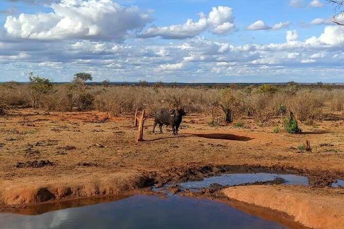 3 Days Safari Tsavo East and Taita Hills Saltlick Lodge - FAQ
