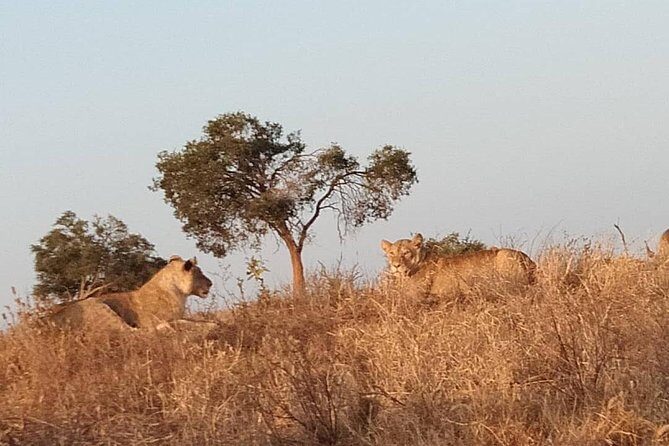 3 days safari Tsavo East and West - Day 1: Tsavo East & Voi Safari Lodge