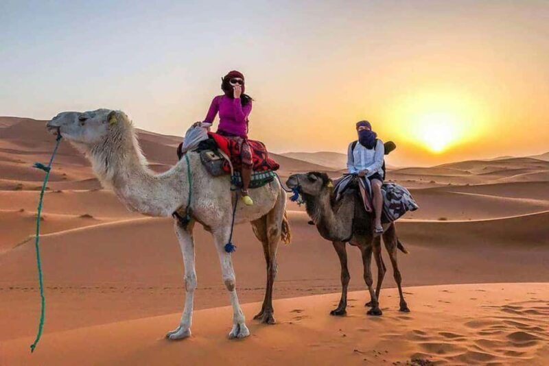 3 Days Sahara Desert from Marrakech - Practical Tips for Travelers  
