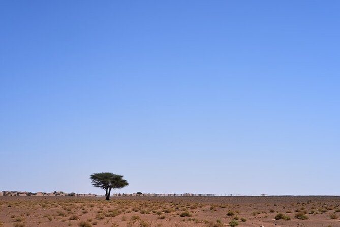 3 Days Sahara Desert Tour from Marrakech to Fes - Final Thoughts
