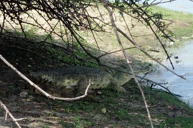3 Days Selous (Nyerere National Park) - Final Thoughts
