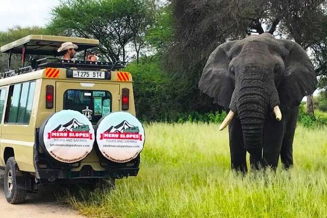 3 Days Serengati and Ngorongoro crate group tour and safari - Who Will Love This Tour?