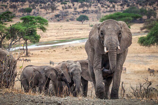 3 Days Serengeti and Ngorongoro Crater Safari from Mwanza to Arusha - FAQs