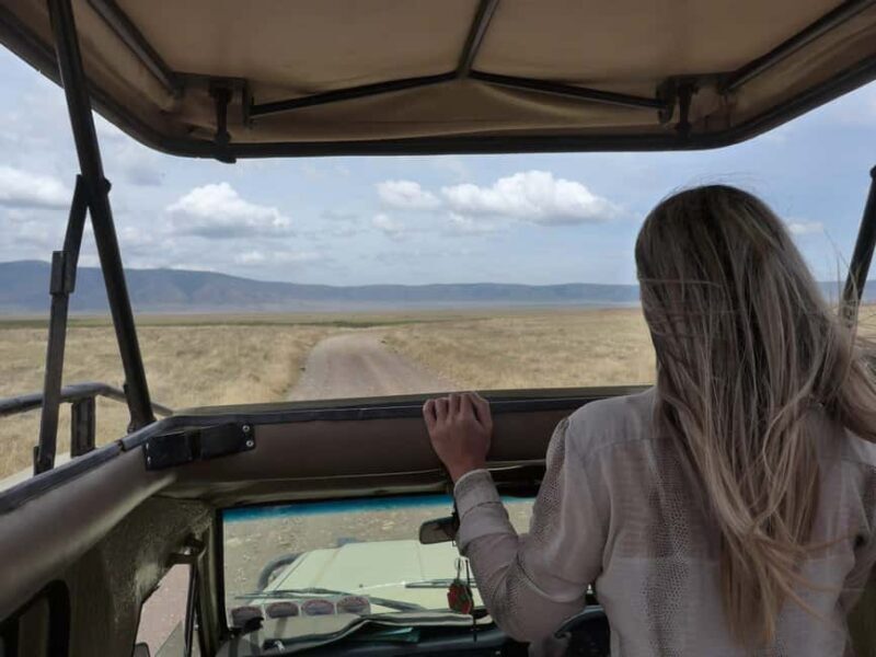 3-Days Serengeti National Park from Zanzibar with Flights - What’s Included and What’s Not?