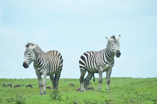 3 Days Serengeti & Ngorongoro Crater group safari - FAQ