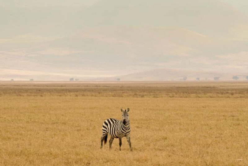 3 Days Serengeti & Ngorongoro Group Mid-range Safari - The Itinerary in Detail