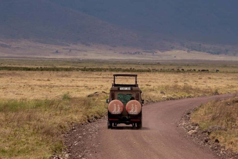 3 Days Serengeti & Ngorongoro Group Mid-range Safari - Day 2: Serengeti Sunrise and Transition to Ngorongoro