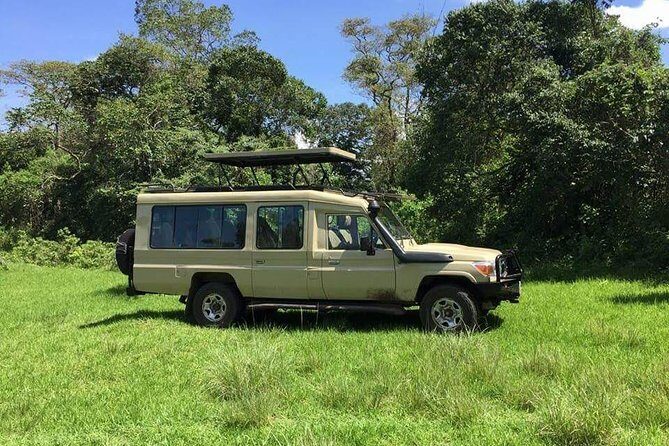3 Days Serengeti & Ngorongoro Tour - Authentic Experiences & Highlights from Reviews