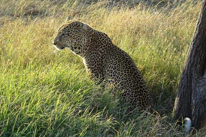 3 Days Serengeti & Ngorongoro Tour - Practical Tips