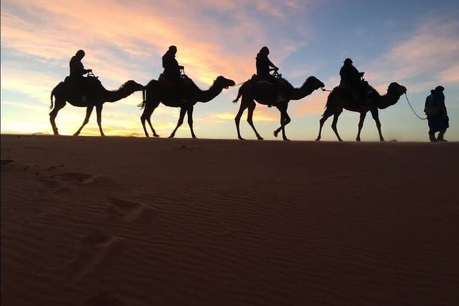 3 Days Shared Sahara Desert Tour From Marrakech - Who Should Consider This Tour?