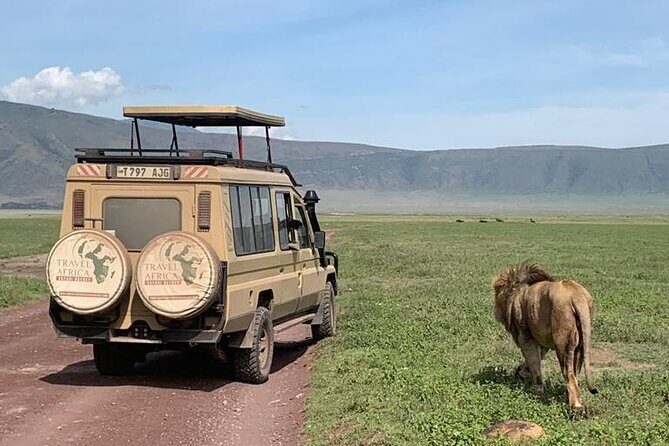 3 Days Small Group Safari to Serengeti NP and Ngorongoro Crater Tour in Tanzania - Key Points