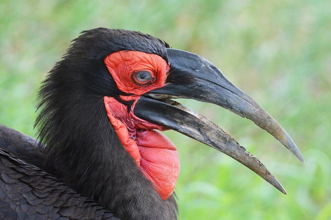 3 Days Tanzania lodge Safari - FAQ