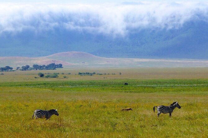 3 Days Tanzania Safari: Tarangire, Manyara and Ngorongoro Crater - What’s Included and What to Expect