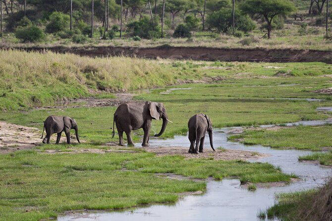 3 Days Tanzania Safari: Tarangire, Manyara and Ngorongoro Crater - The Sum Up