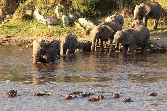 3-Days Tanzania Safari Tours - An In-Depth Look at the Itinerary