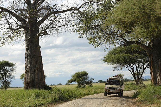 3-Days Tanzania Safari Tours - FAQ