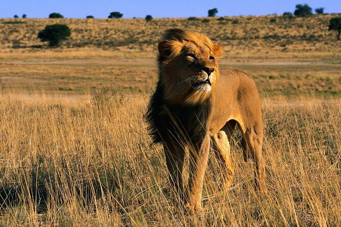 3 Days Tanzania Short and Spicy - Key Points