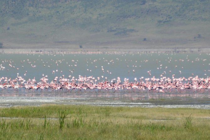 3 Days Tarangire , Ngorongoro Crater & Manyara From Zanzibar - FAQ