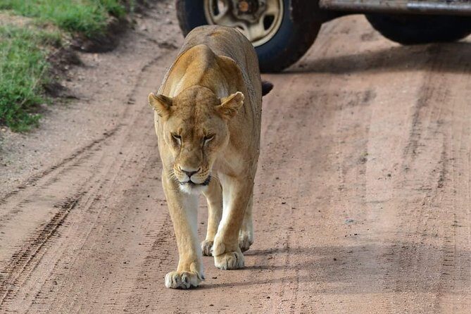 3 days Tarangire, Ngorongoro & Lake Manyara package - Exploring the Itinerary in Detail